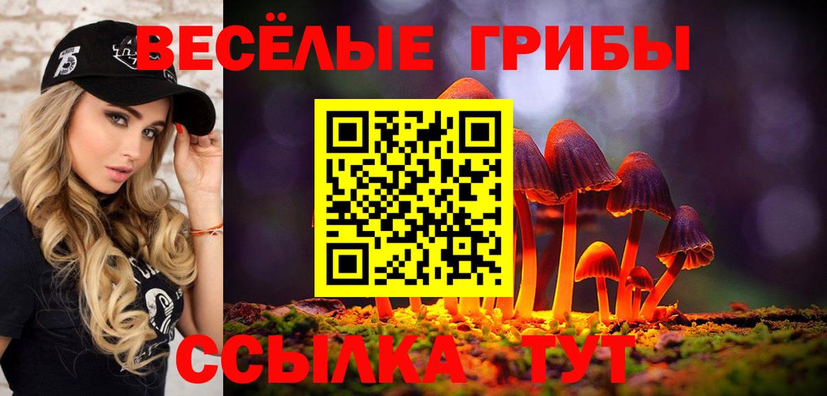 Галлюциногенные грибы MAGIC MUSHROOMS Будённовск
