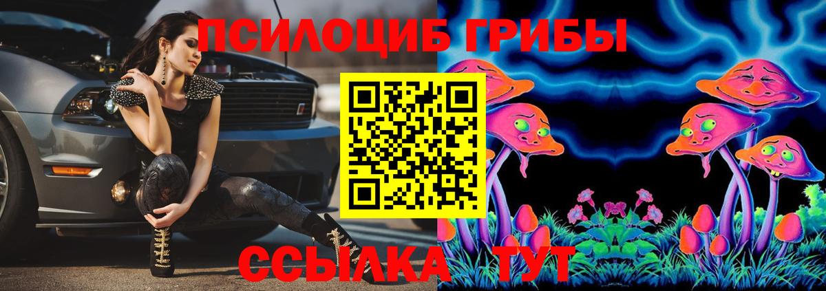 Будённовск  Галлюциногенные грибы Psilocybine cubensis  Галлюциногенные грибы ЛСД  Вход с VPN 